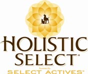 Holistic-Logo