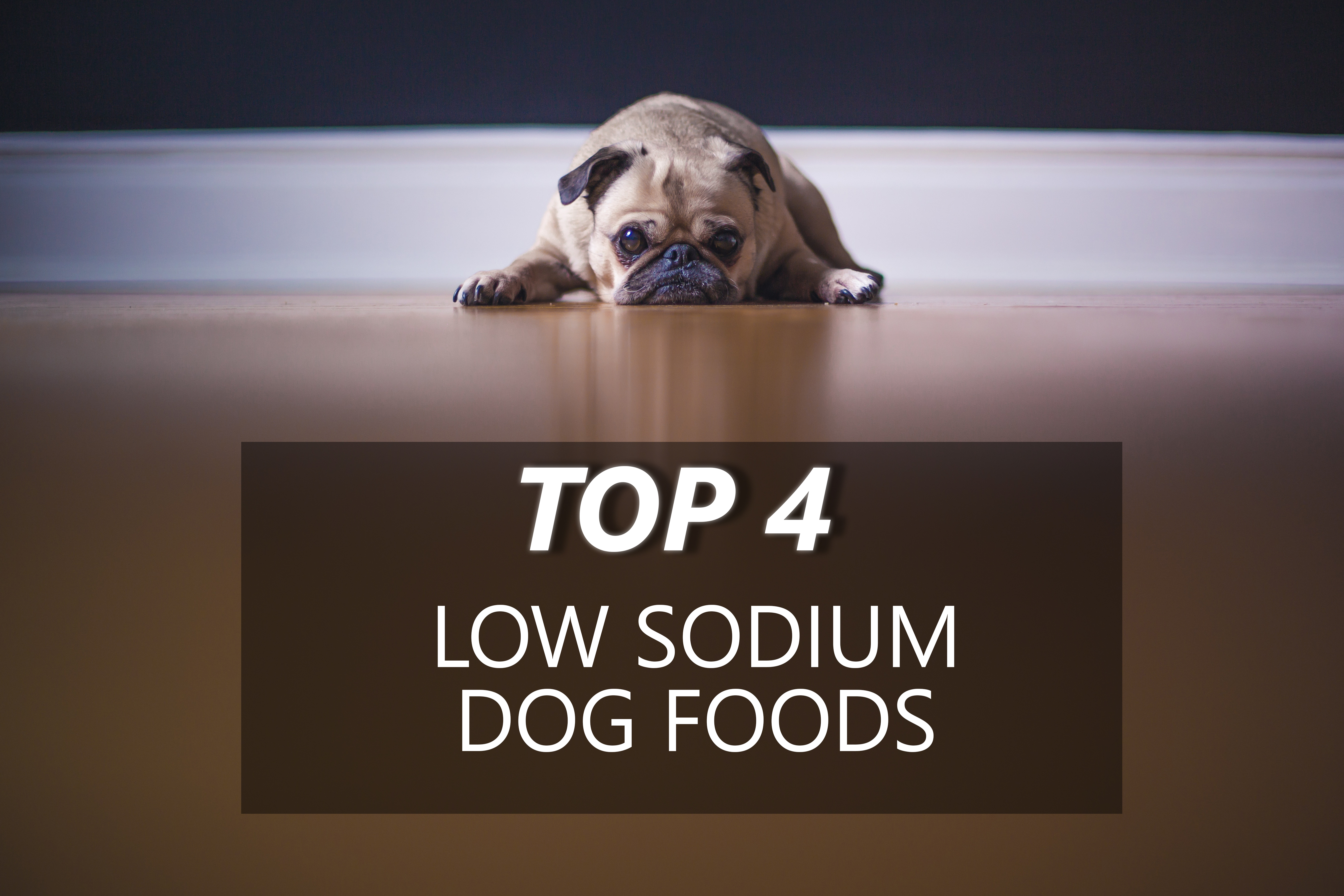 low sodium dog food