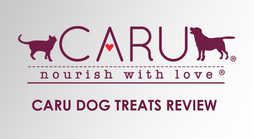 Nutritious Treats for Dogs: Caru Baked Bites Review
