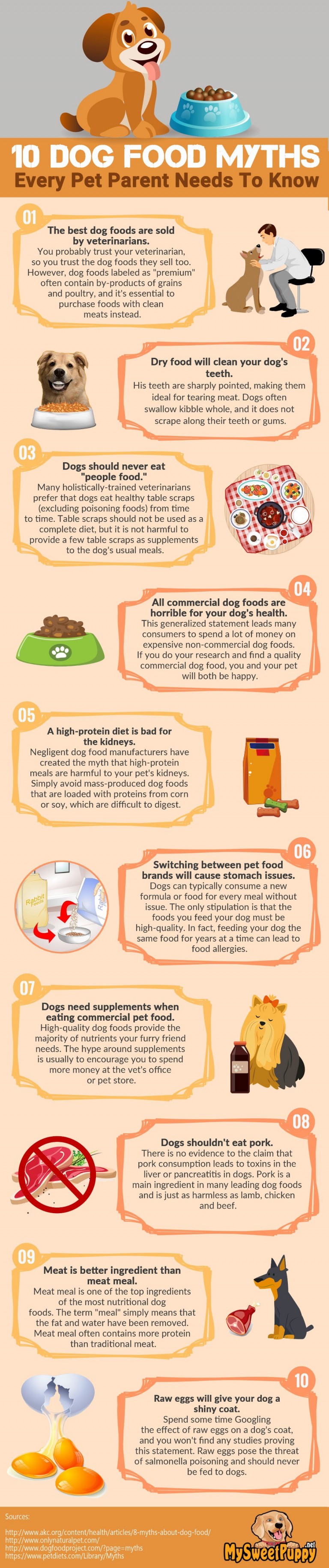 Top 10 Dog Food Myths