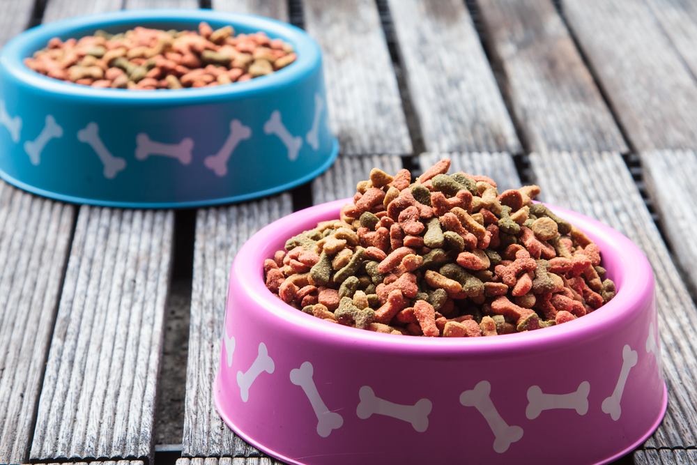 Dog food in a bowl on wooden table