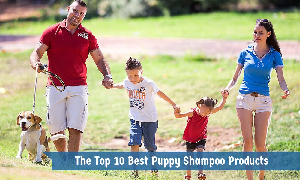 The Top 10 Best Puppy Shampoo Products