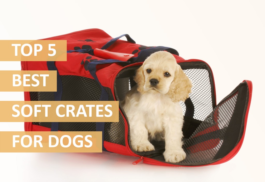 best soft sided dog crate