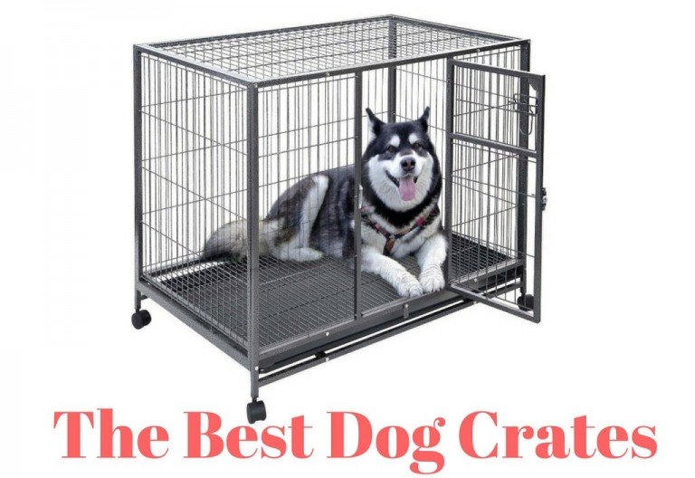 Top 5 Best Dog Crates [Ultimate Buyer's Guide 2021]