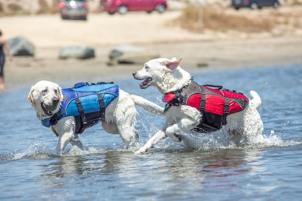 Dog Safety Vest Easy-Fit Adjustable Belt & Reflective and High Buoyancy Pet Floatation Vest for Small,Medium,Large Dogs Fragralley Dog Life Jacket 