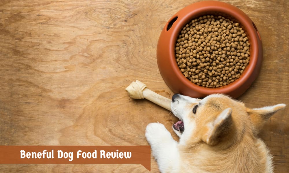 Beneful Dog Food Review