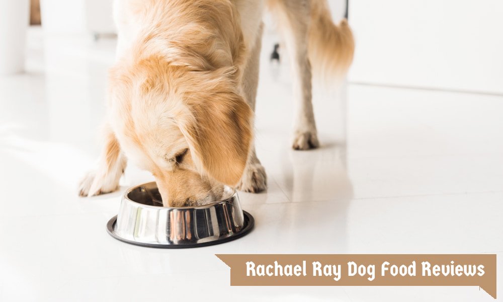 Rachael Ray Dog Food Reviews