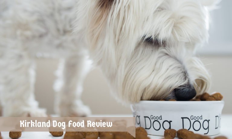 Kirkland Dog Food Review   Kirkland Dog Food Review 768x461 