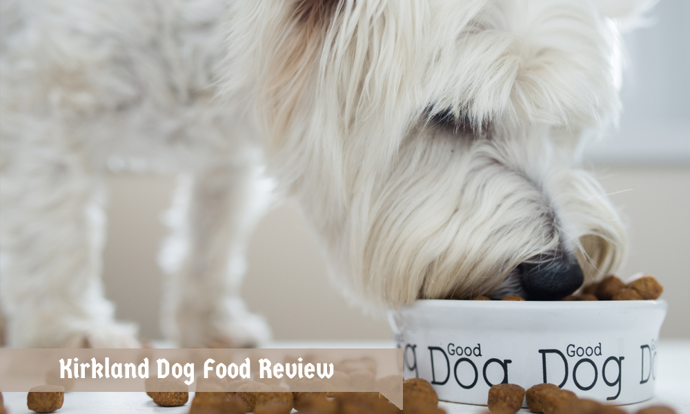 Kirkland Dog Food Review