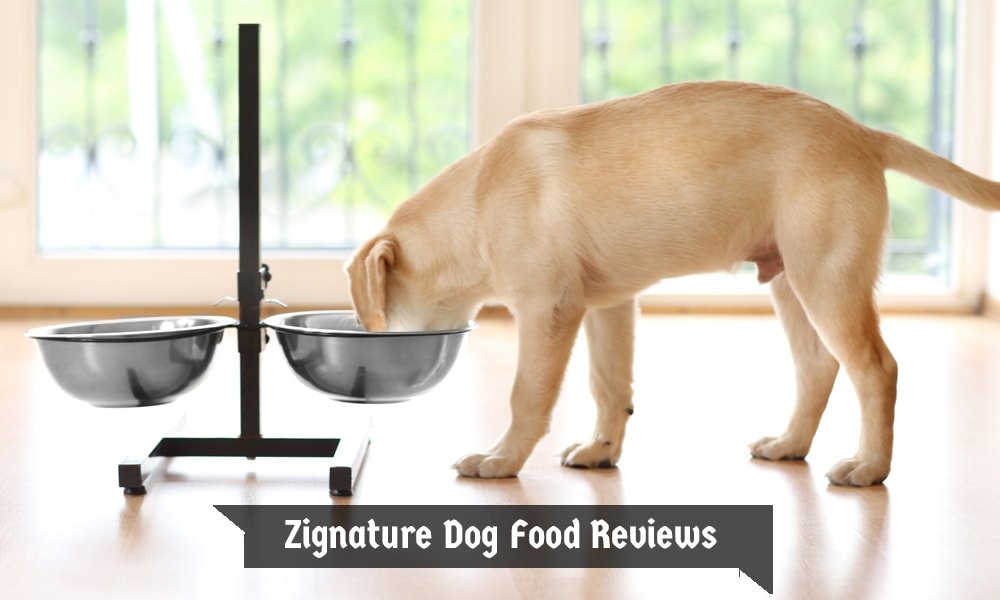 Zignature Dog Food Reviews