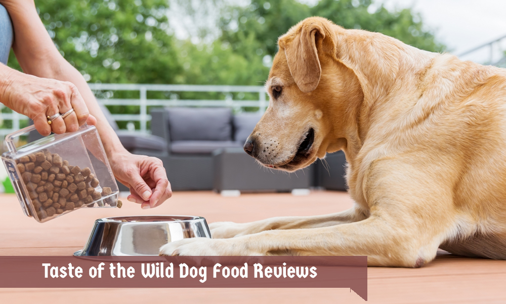 Taste of the Wild Dog Food Reviews