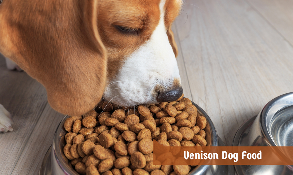 Venison Dog Food