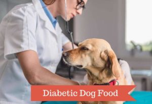 Diabetic Dog Food: The Top 5 Best Dog Foods for Diabetic Dogs in 2021