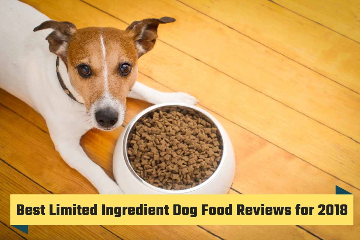 Best Limited Ingredient Dog Food Reviews for 2018