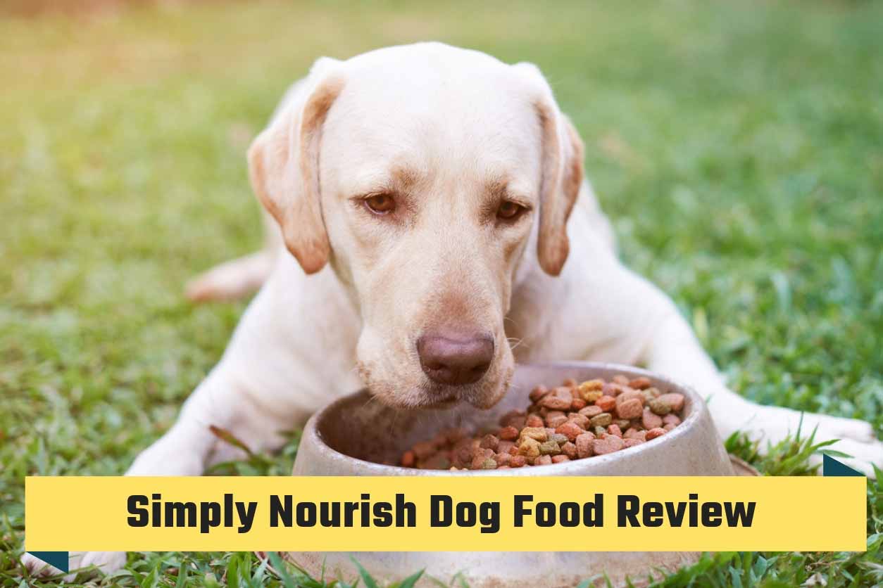 simply nourish puppy dog food reviews