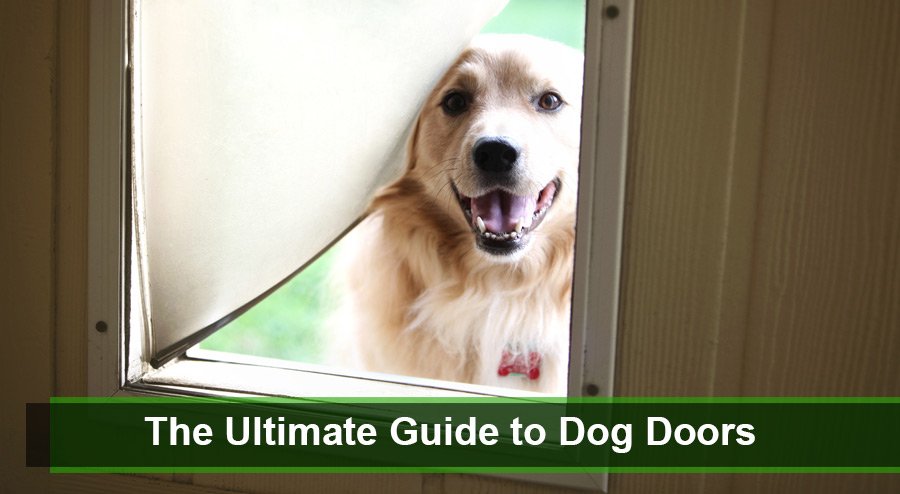 The Ultimate Guide to Dog Doors