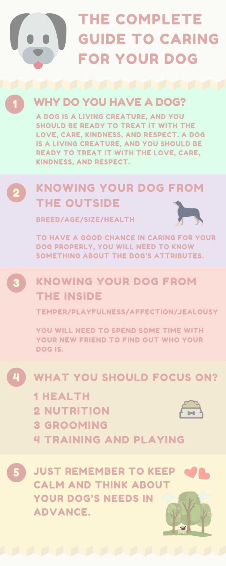 The Complete Guide to Caring for Your Dog