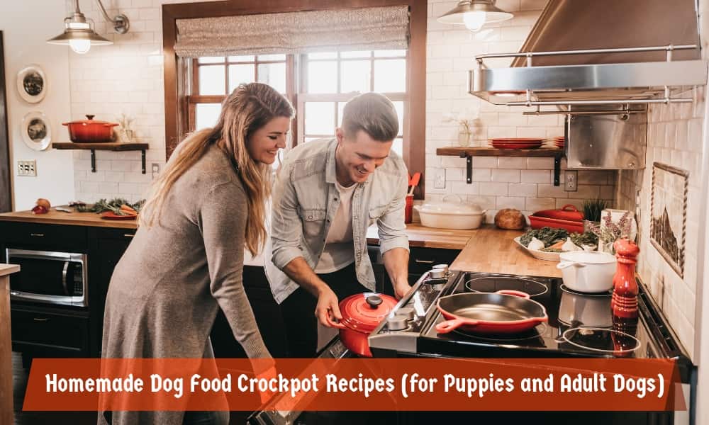 Homemade Dog Food Crockpot Recipes (for Puppies and Adult Dogs)