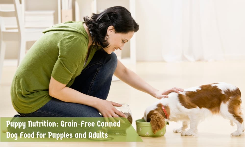 Grain-Free Canned Dog Food for Puppies and Adults