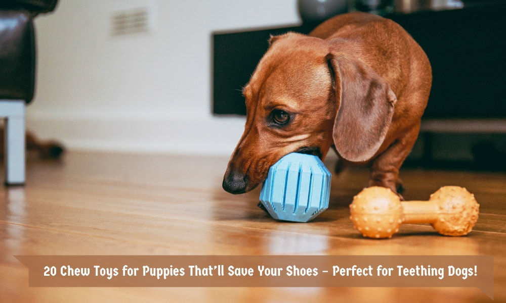 20 Chew Toys for Puppies That’ll Save Your Shoes – Perfect for Teething Dogs!