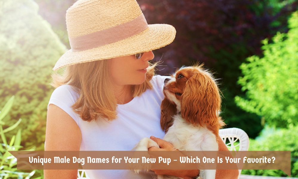 Unique Male Dog Names for Your New Pup