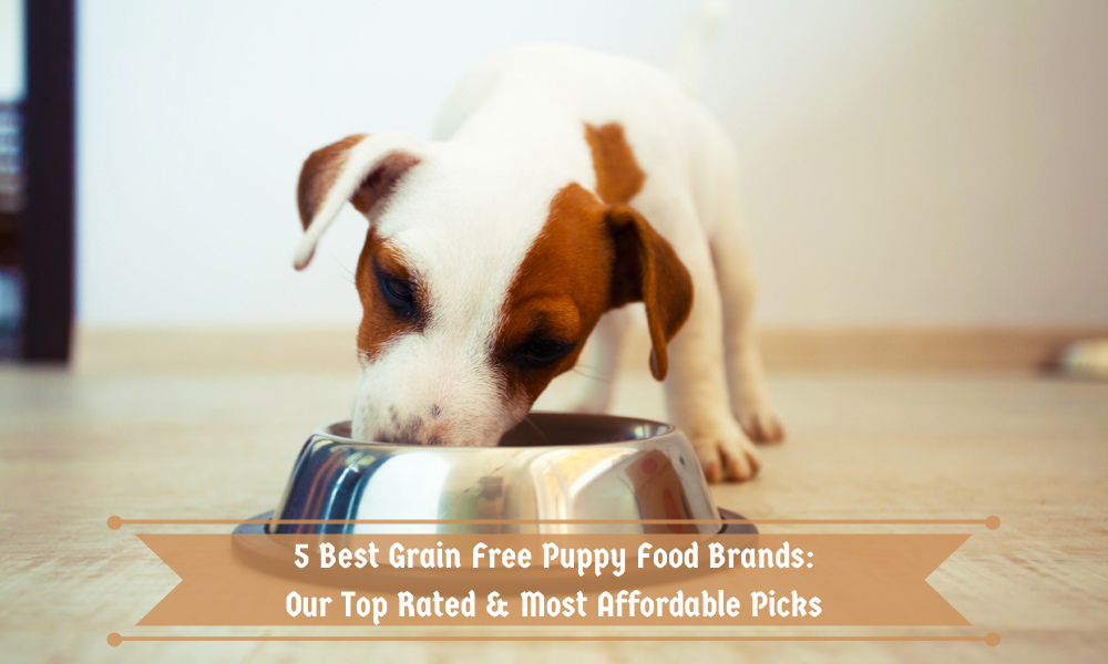 5 Best Grain Free Puppy Food Brands Our Top Rated & Most Affordable Picks