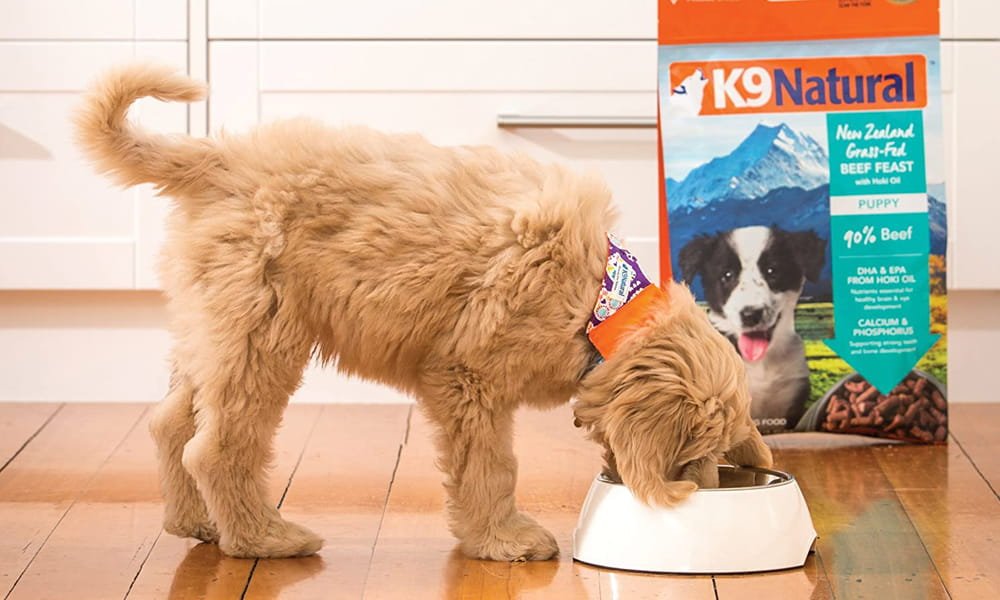 Nutrition is very important for large breed puppies