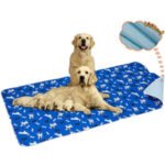 Best Puppy Pads