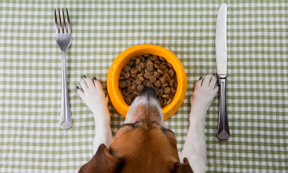 Is Purina Beneful Dog Food Expensive