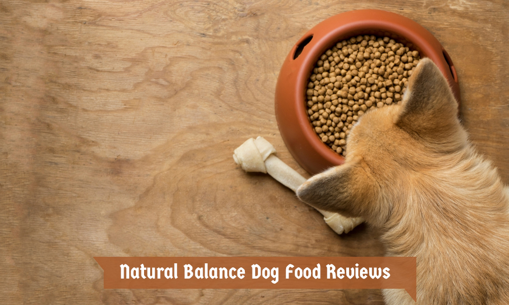 Natural Balance Dog Food Reviews