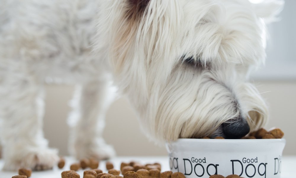 Adult Dog Science Diet Dog Foods