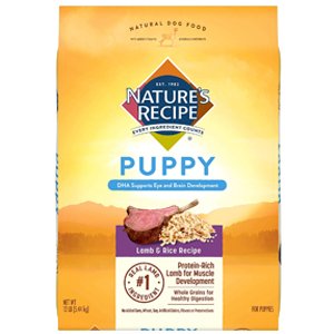 Puppy Lamb and Rice Recipe Dry Dog Food