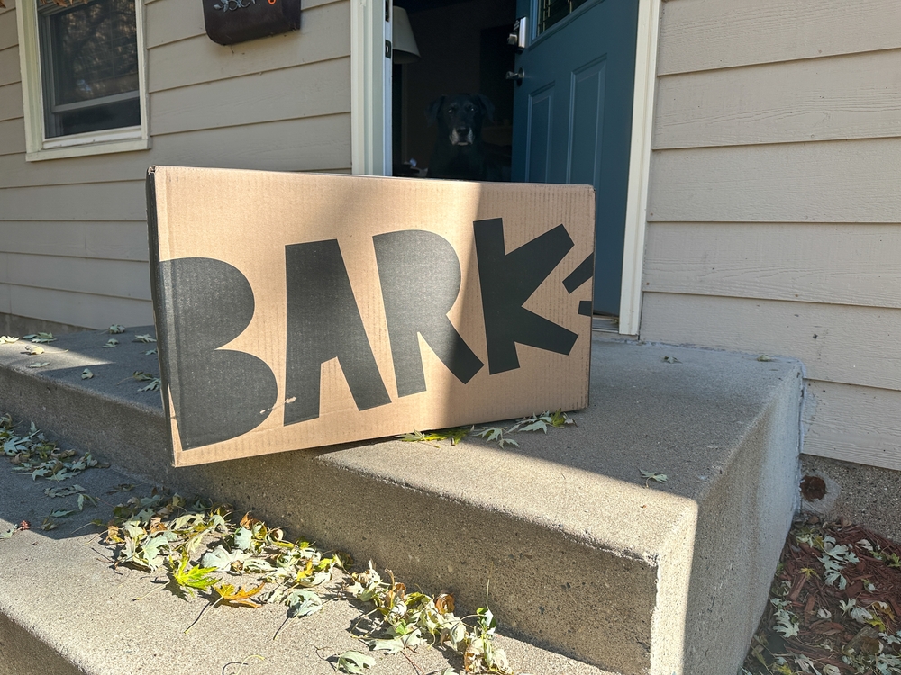 BarkBox package delivered on front step of house with senior dog peeking out open door